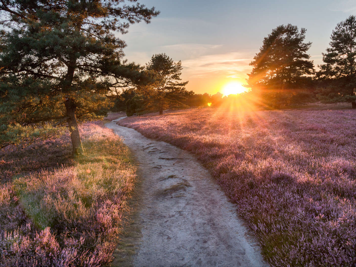 Schnell mal Kraft tanken im laVital im Süden der Lüneburger Heide für 3 Tage