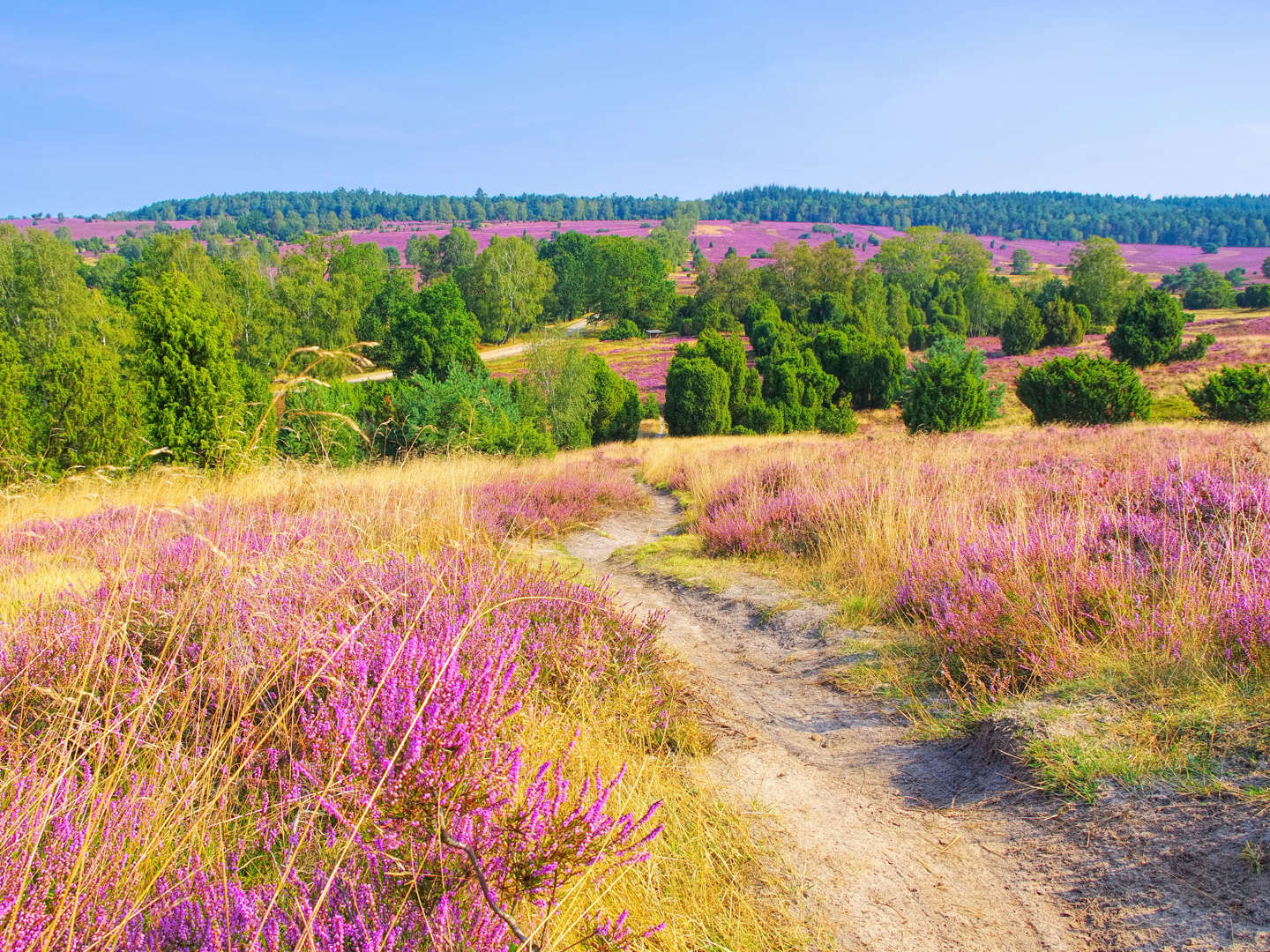 Speck weg Tage im Süden der Lüneburger Heide