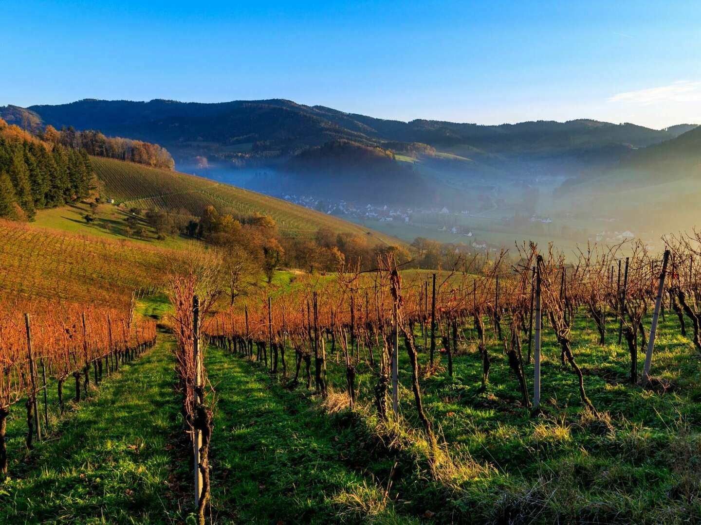 Ausspannen - Genießer Tage im Schwarzwald