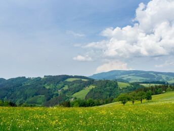 Der kleine Erholungsurlaub im Schwarzwald 6 Tage