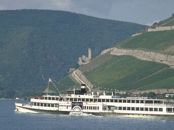 4 Tage - Kurzurlaub am Rhein in den Weinbergen vom Rheingau inkl. HP