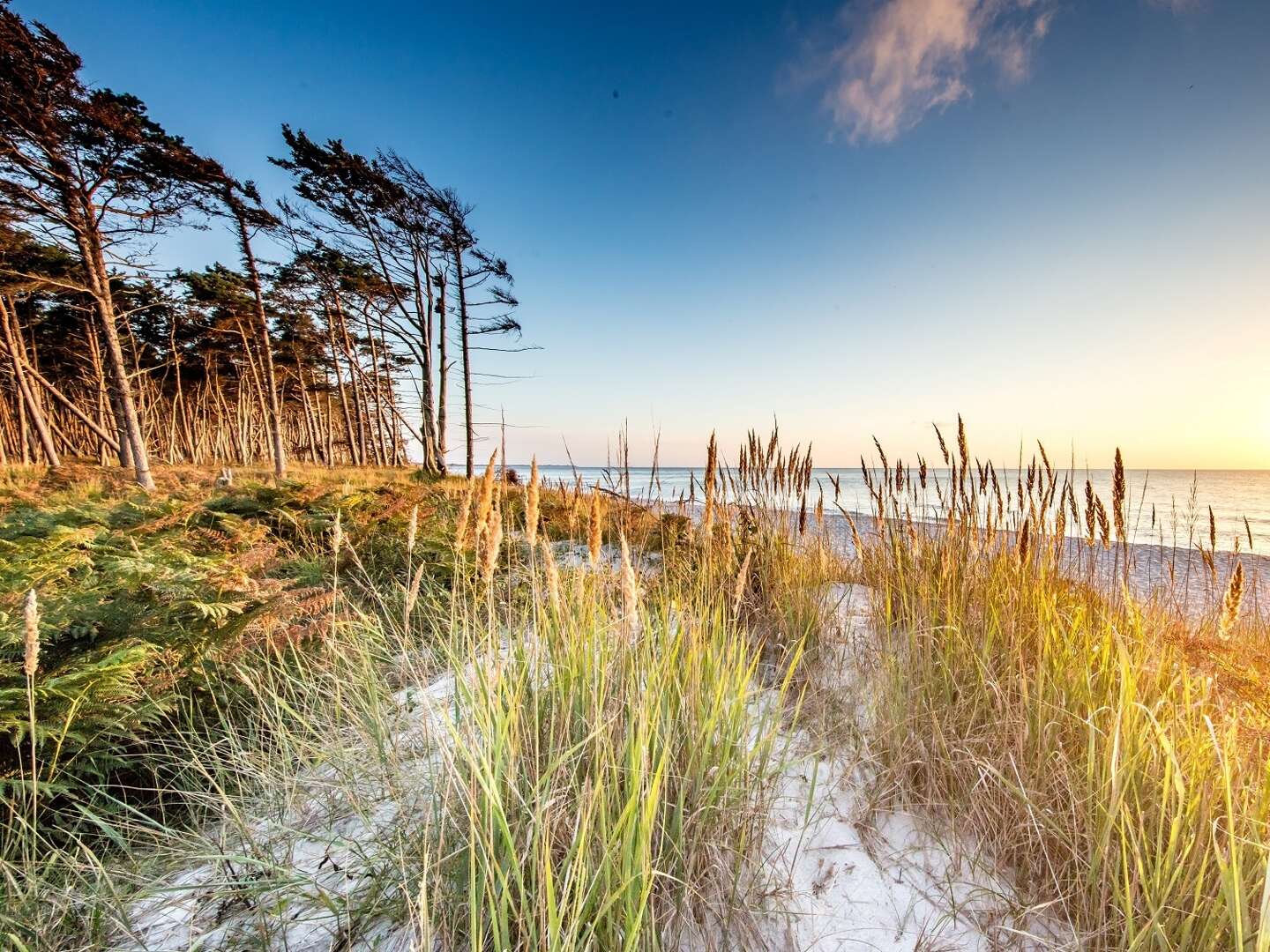 Kennlernangebot - Entdecke den Darß direkt an der Ostsee 