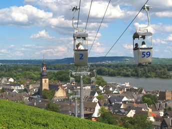 3 Tage Mit dem Fahrrad durch den Rheingau und Rüdesheim am Rhein 