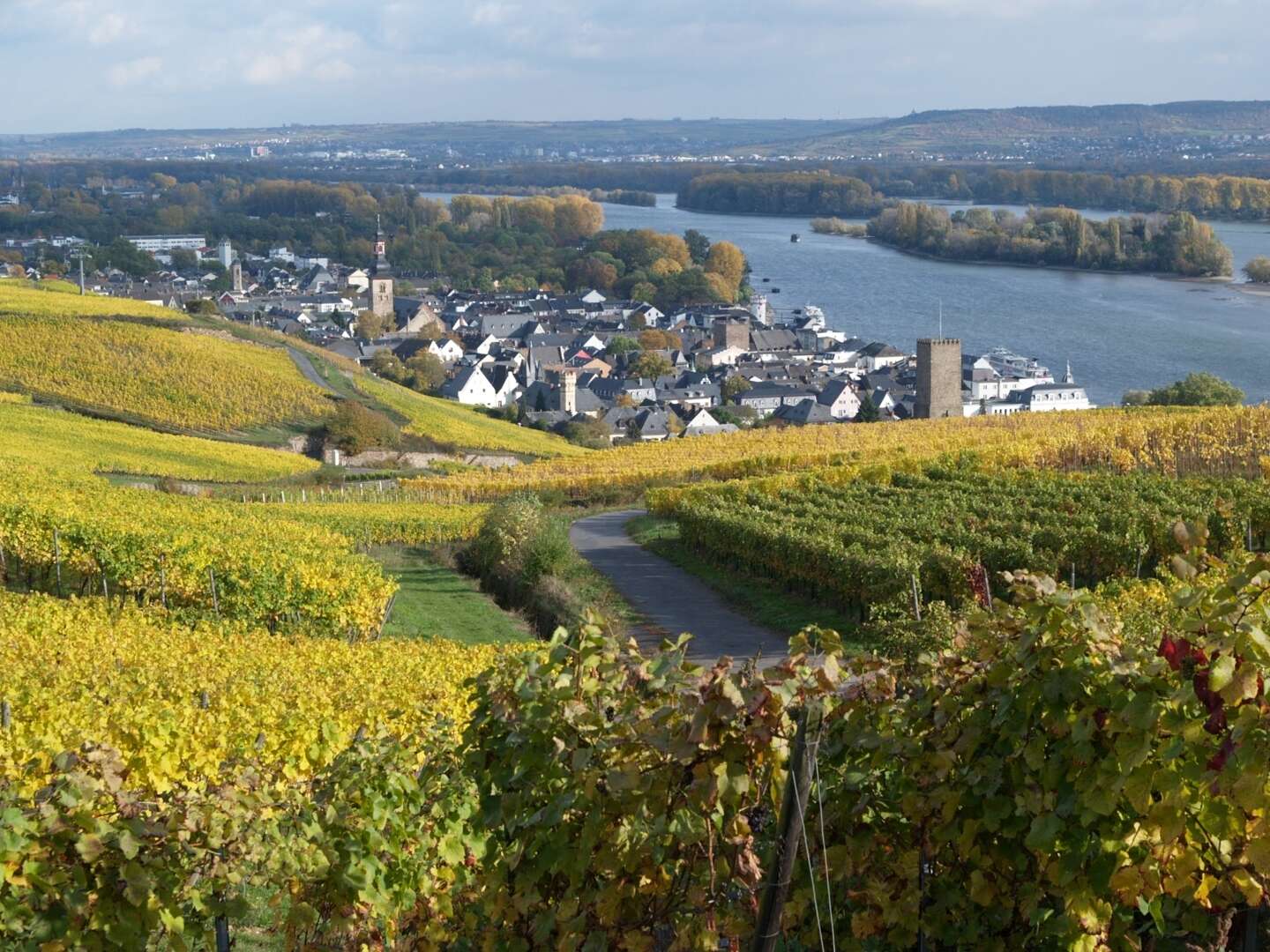 3 Tage Mit dem Fahrrad durch den Rheingau und Rüdesheim am Rhein 