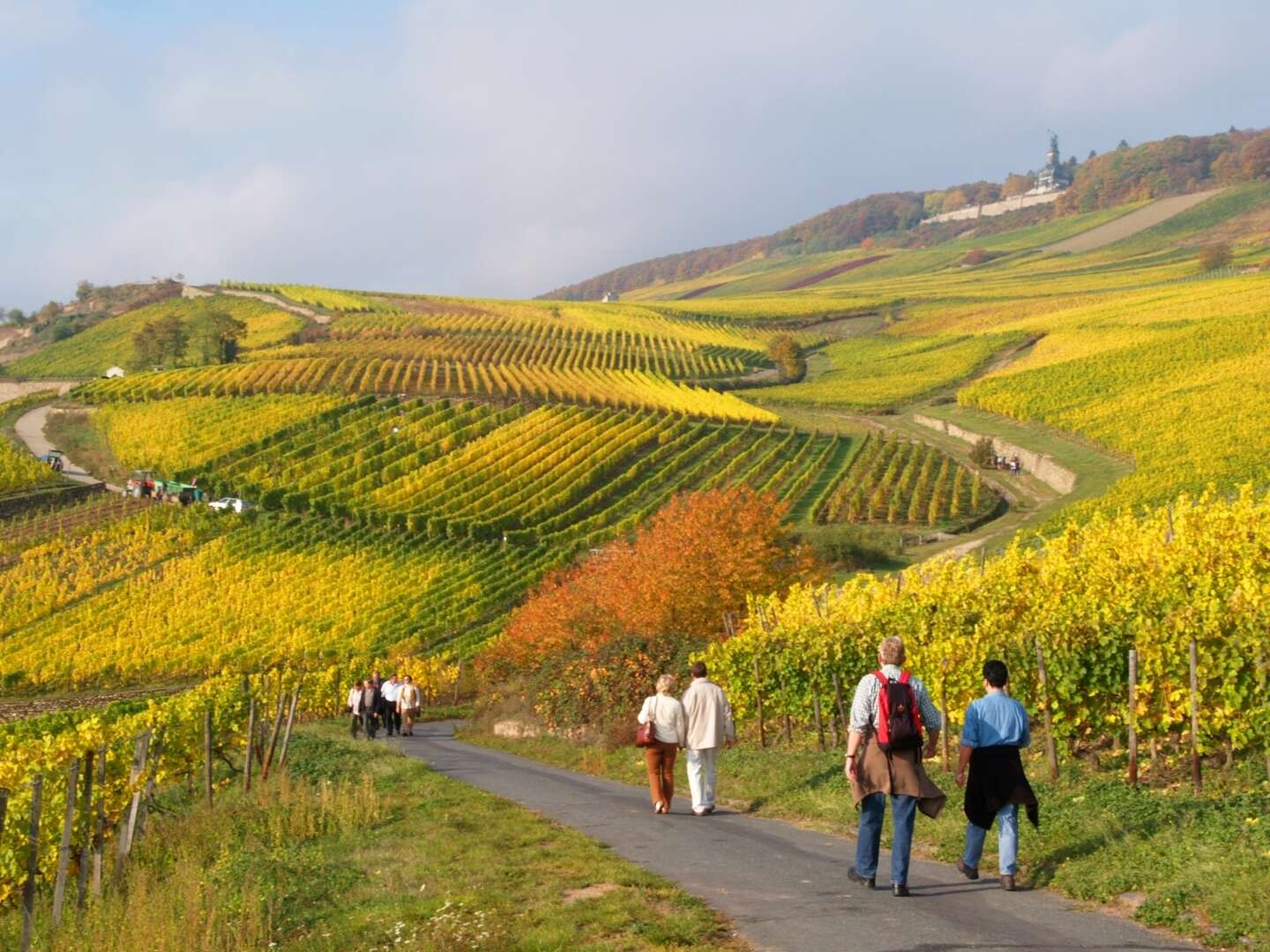 3 Tage Mit dem Fahrrad durch den Rheingau und Rüdesheim am Rhein 