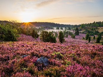 3 Genießer Tage im Flair Hotel Rieckmann Lüneburger Heide