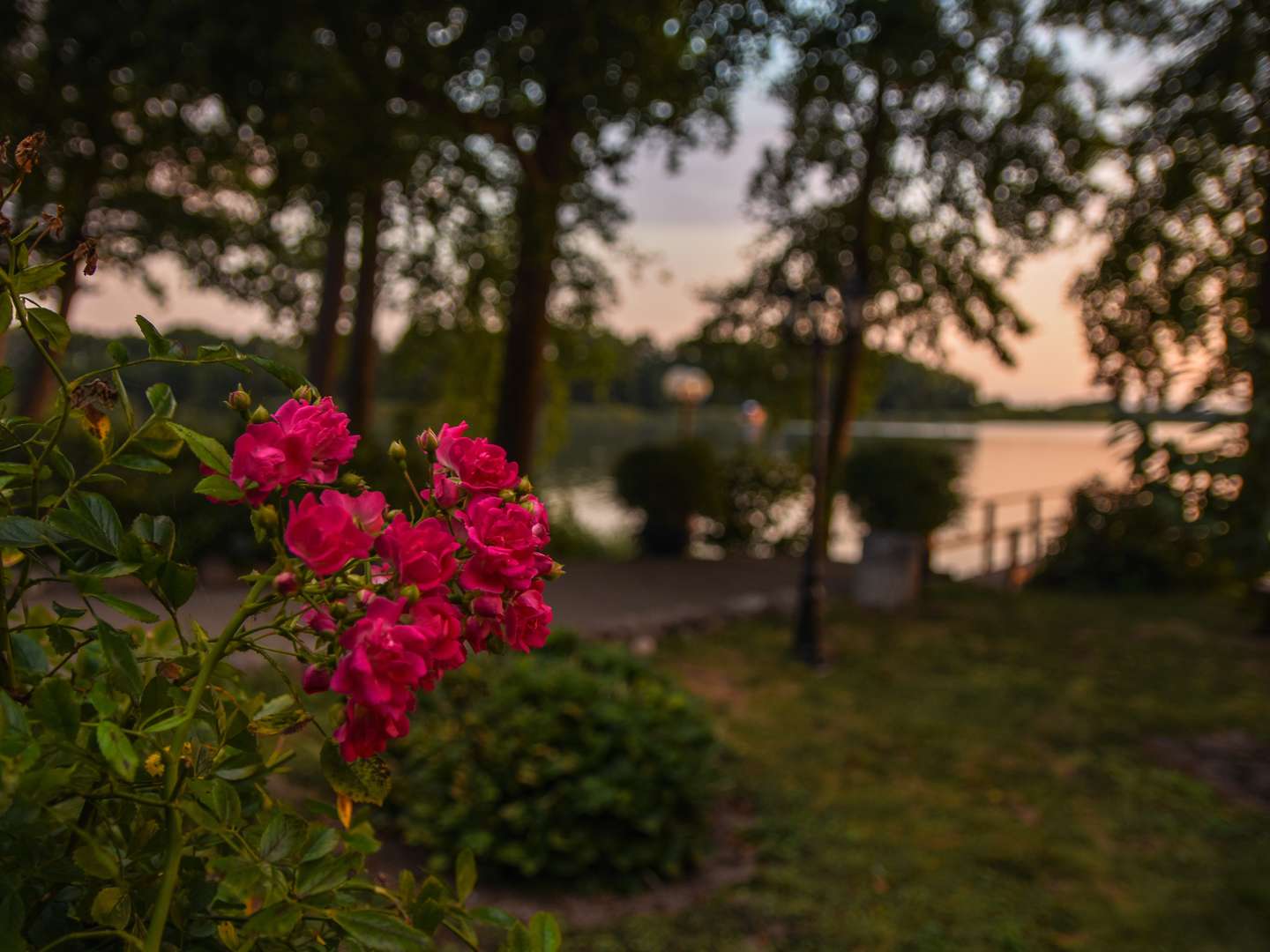 Romantik-Wochenende direkt am See inkl. Halbpension