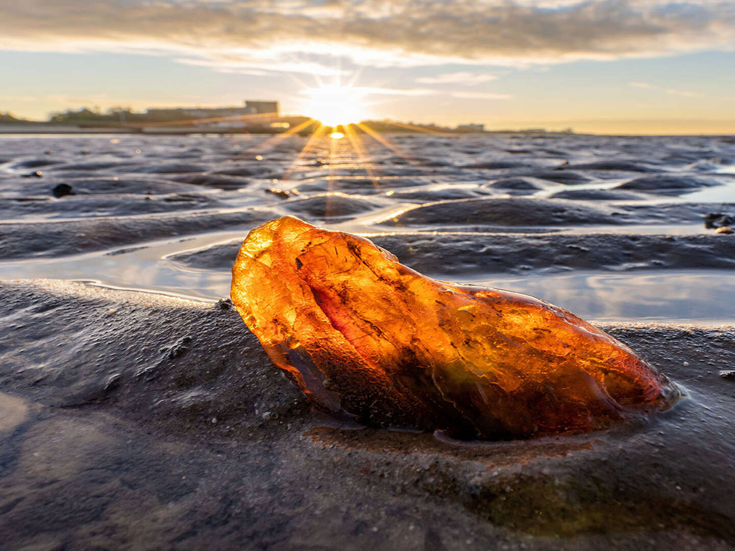 Kurzentschlossen auf die Insel Usedom