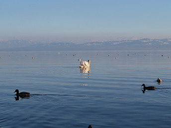 Happy Hours am Bodensee mit Zeppelin Museum