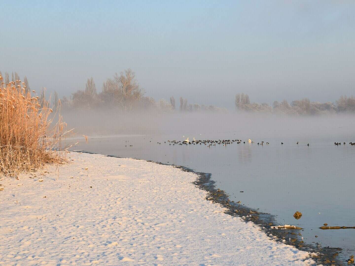  Wintererlebnis Bodensee – Entdecken Sie die zauberhafte Winterlandschaft!