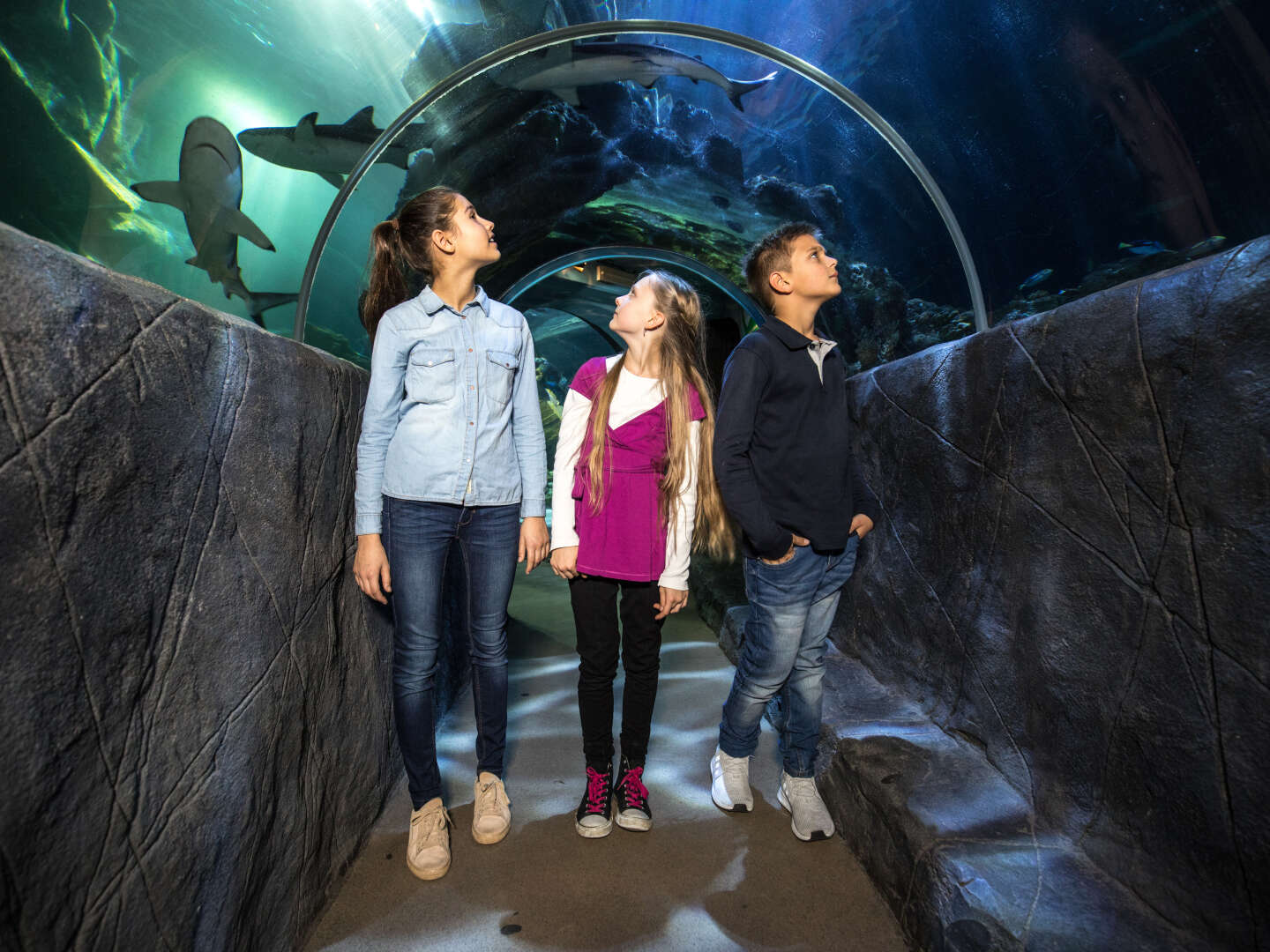 Eine Unterwasser-Weltreise im SEA LIFE Oberhausen | 3 Tage