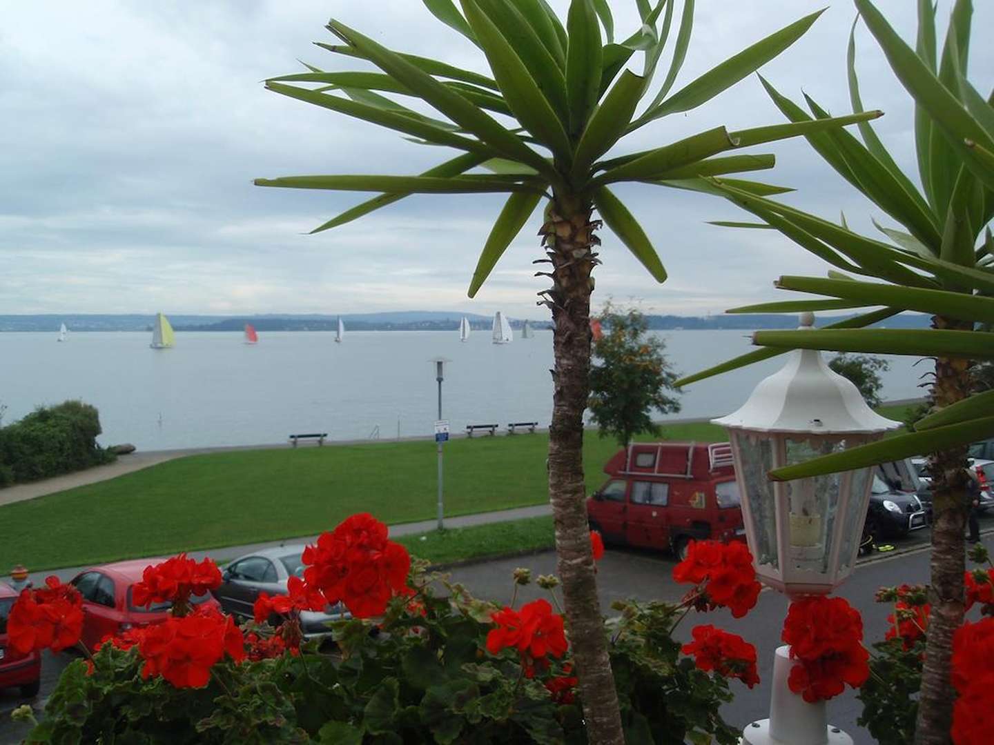 Sommer-Badeurlaub am Bodensee