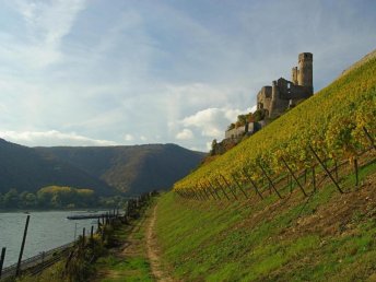 R(h)ein Klassik inkl. HP und Loreley Rundfahrt