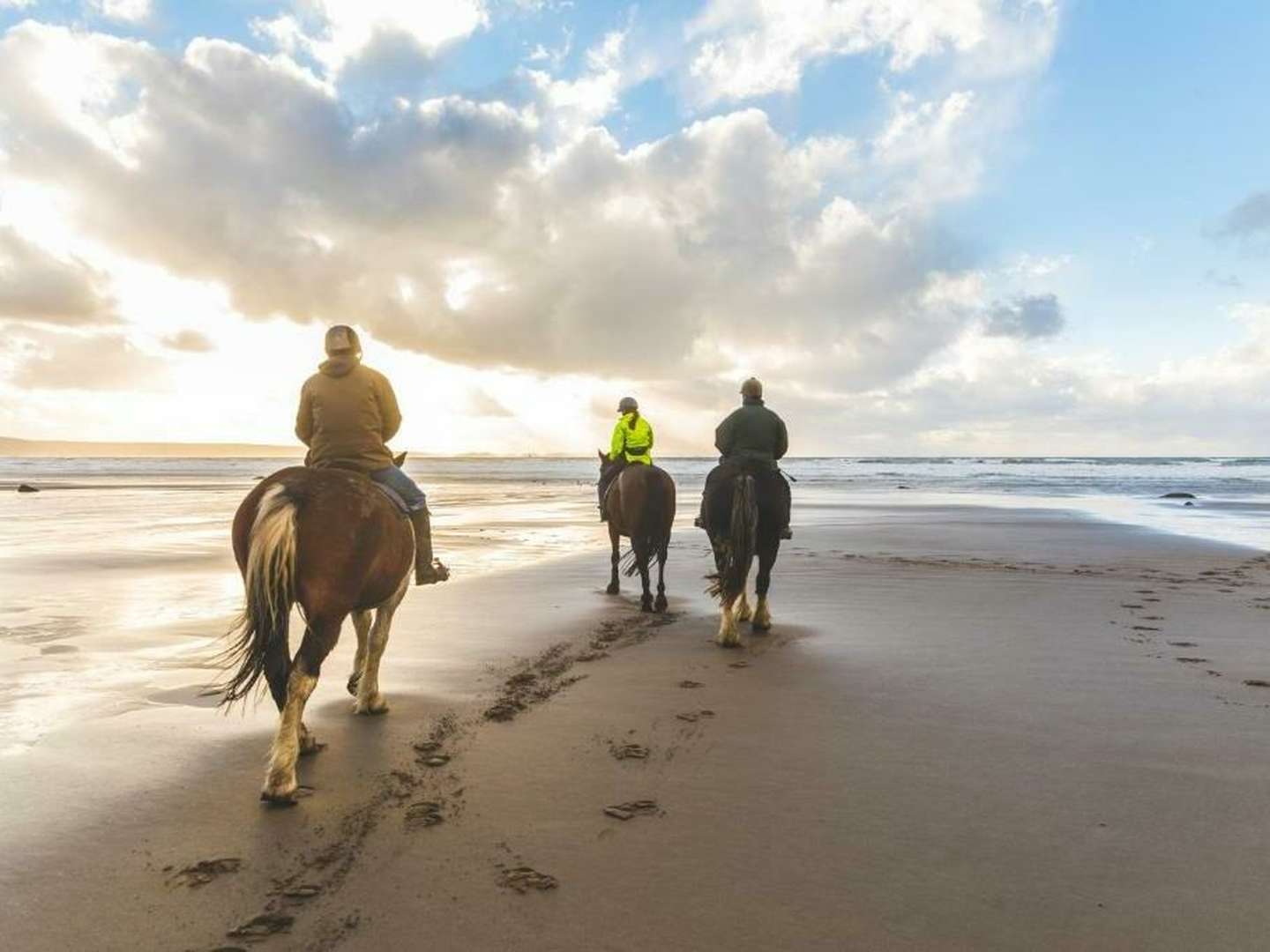 Bunter Herbst auf Insel Rügen | 4 Tage