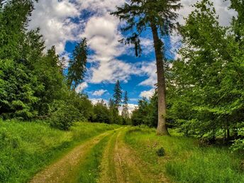 2 Tage auf dem Frankenweg