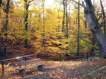 Romantische Auszeit im Ilsetal