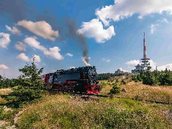 Kunterbunt den Harz erleben