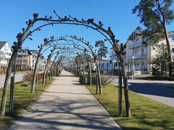 5Tage Ostseeurlaub auf Rügen