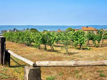 Zum Saison-Ende sehr günstig auf die Insel Usedom! (6Ü.)