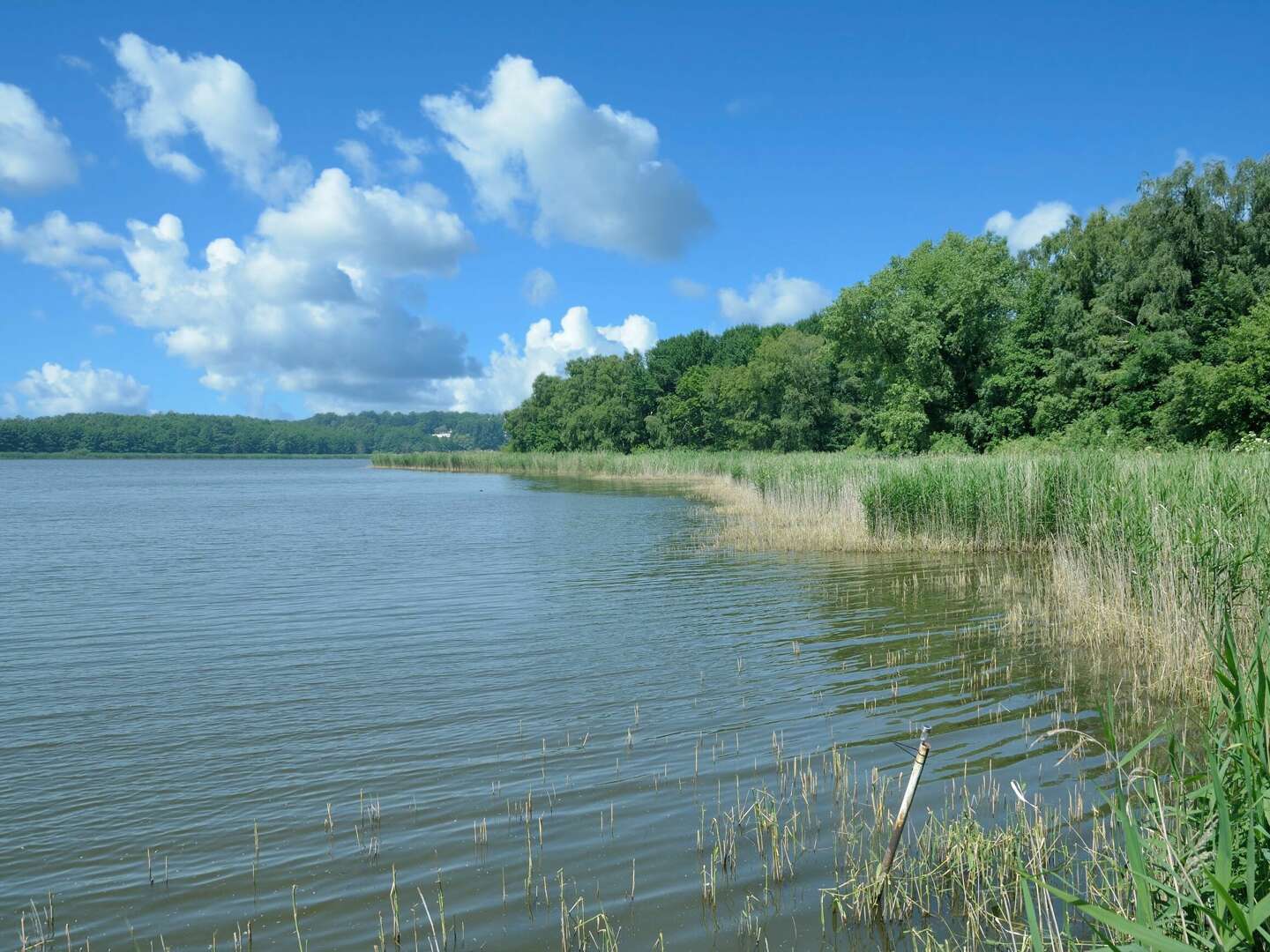 Zum Saison-Ende sehr günstig auf die Insel Usedom! (7Ü.)