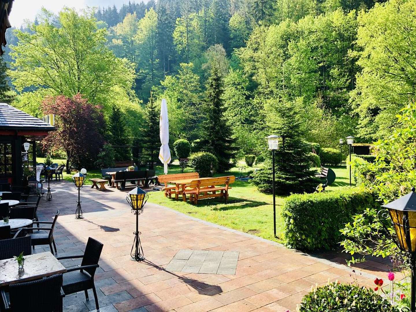 Wald und Wiesenpicknick im Harz