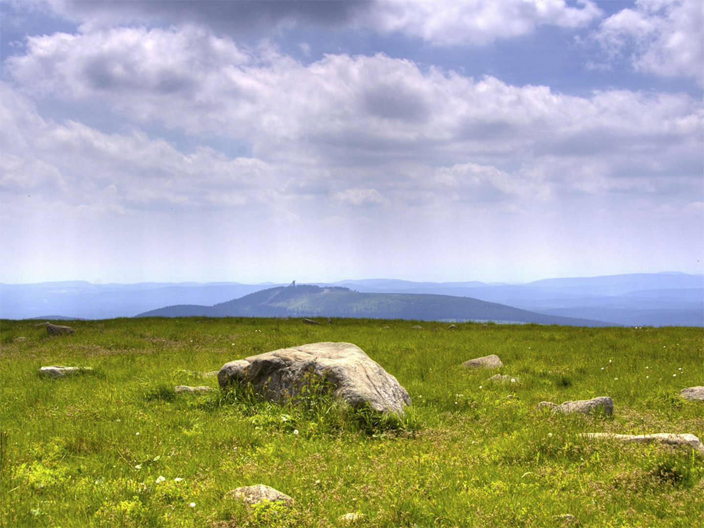 Wald und Wiesenpicknick im Harz