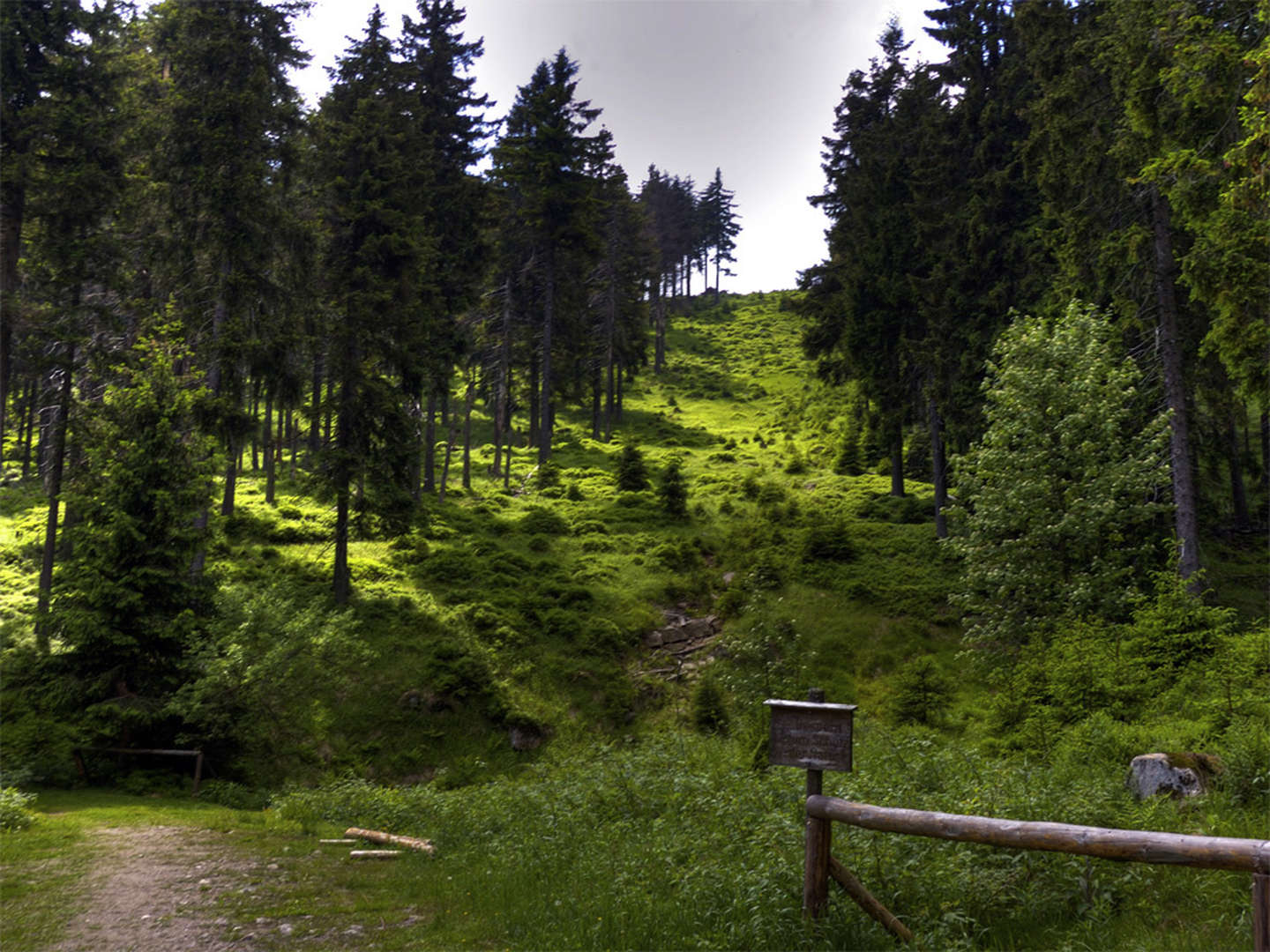 Wanderurlaub im Harz inkl. Abendessen