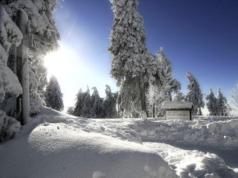 Den Wurmberg im Harz erklimmen