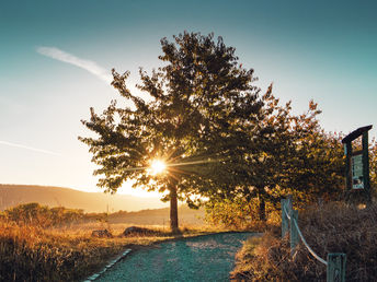  Wandertage im Harz  inkl. Abendessen & Lunchpaket