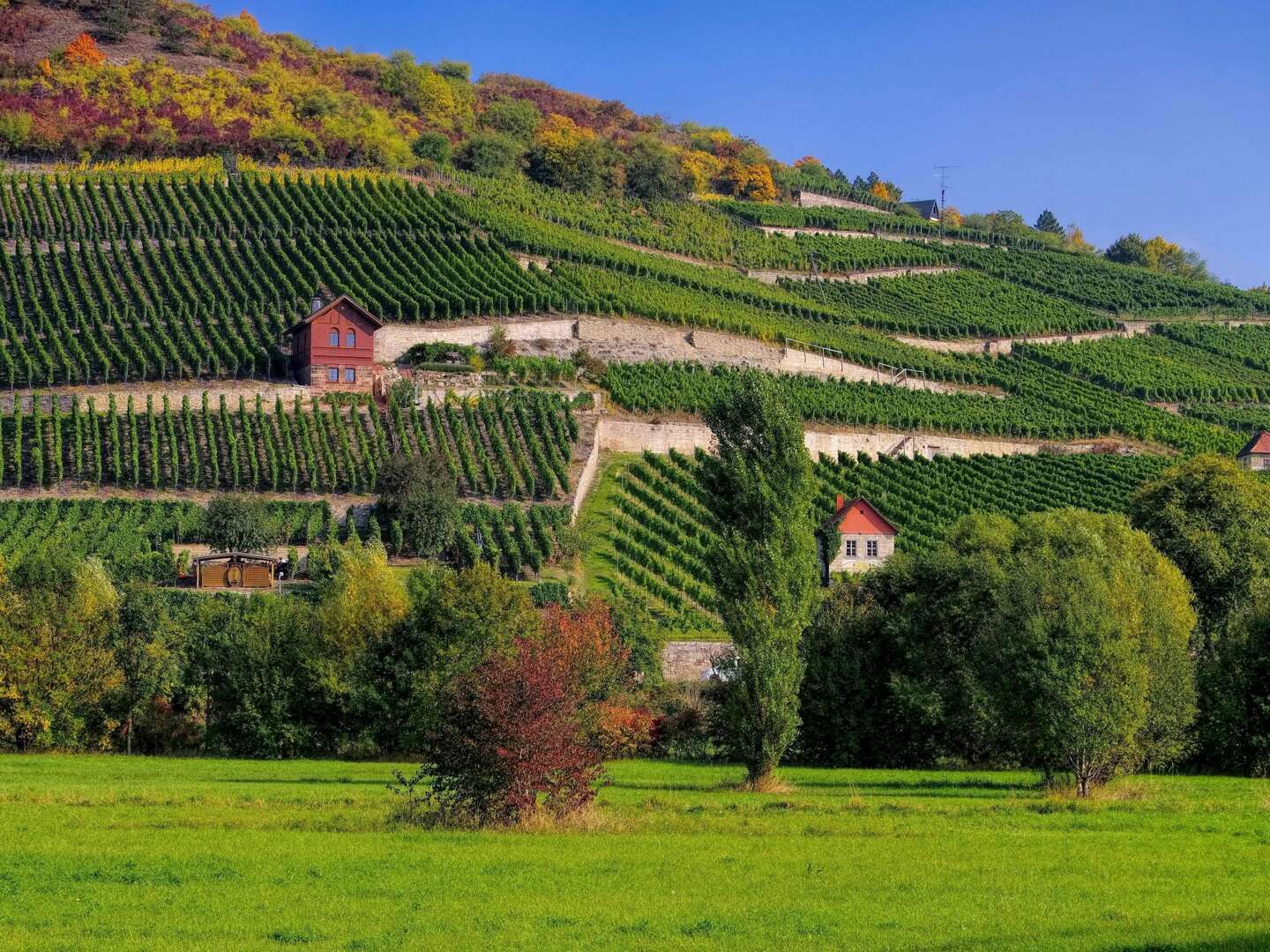 Kultur & Genuss in der Domstadt Merseburg inkl. Halbpension & Sektkellerei Freyburg