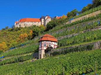 Kultur & Genuss in der Domstadt Merseburg inkl. Halbpension & Sektkellerei Freyburg