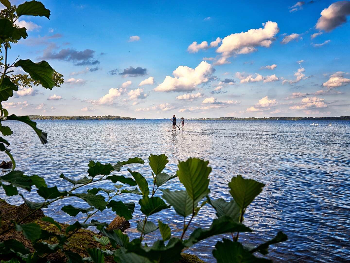 Jahreswechsel am Schweriner See