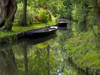 Spreewald-Erholung - 3 Tage im Hotel Willmersdorfer Hof