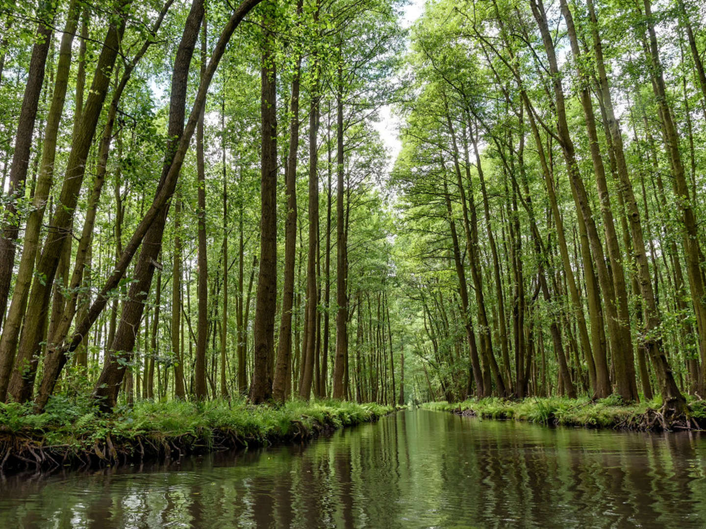 Spreewald-Erholung - 3 Tage im Hotel Willmersdorfer Hof