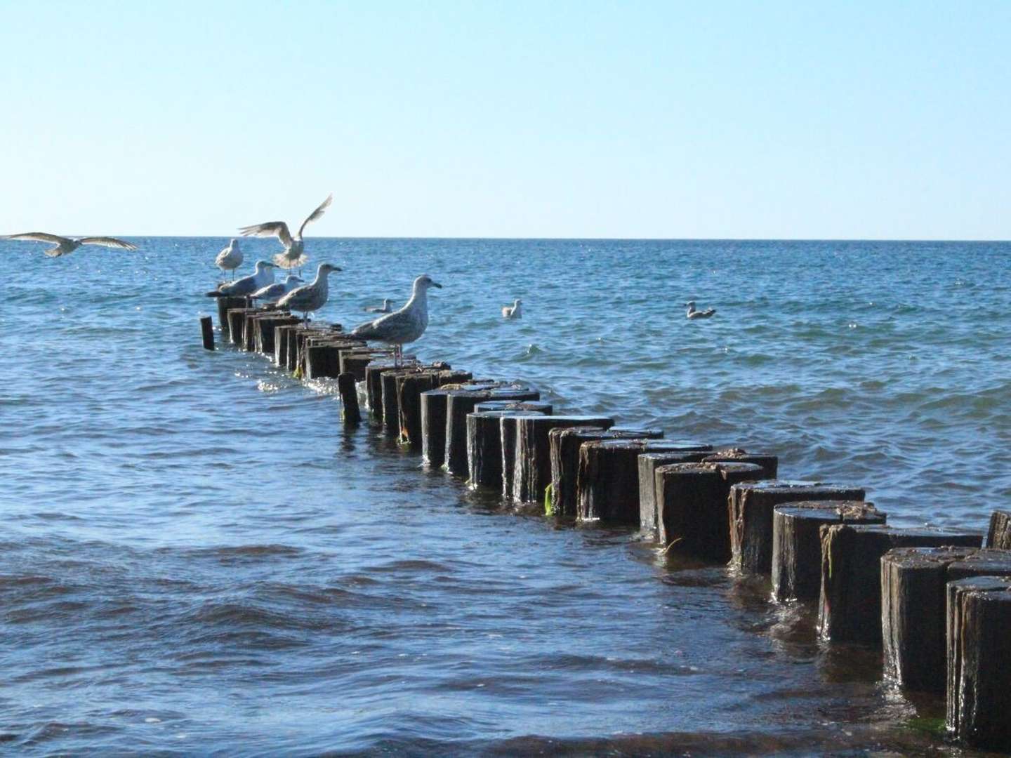 Wohlfühlen am Meer inkl. Abendessen