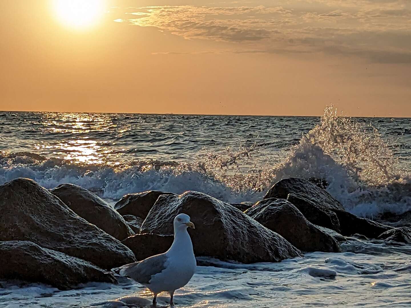 Wohlfühlen am Meer inkl. Abendessen