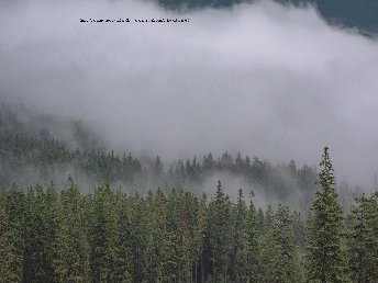 Romantikerlebnis für zwei mit Kerzenabend und Therme Solemar im Schwarzwald