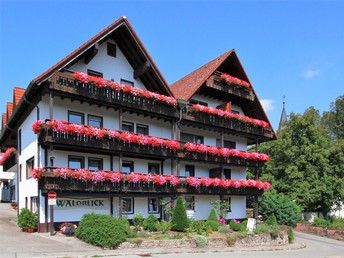 Auszeit für Zwei mit Therme & Rheinfall von Schaffhausen