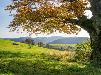 Best of Golf in Baiersbronn