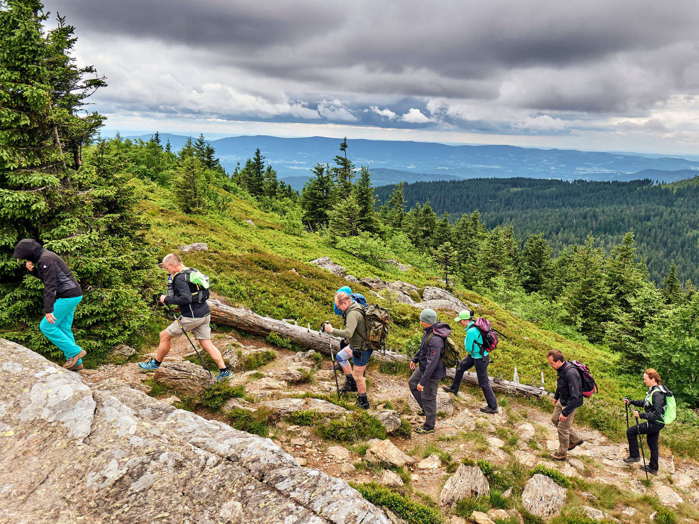 Baumwipfelpfad im Bayerischen Wald erklimmen inkl. Halbpension | 5 Tage