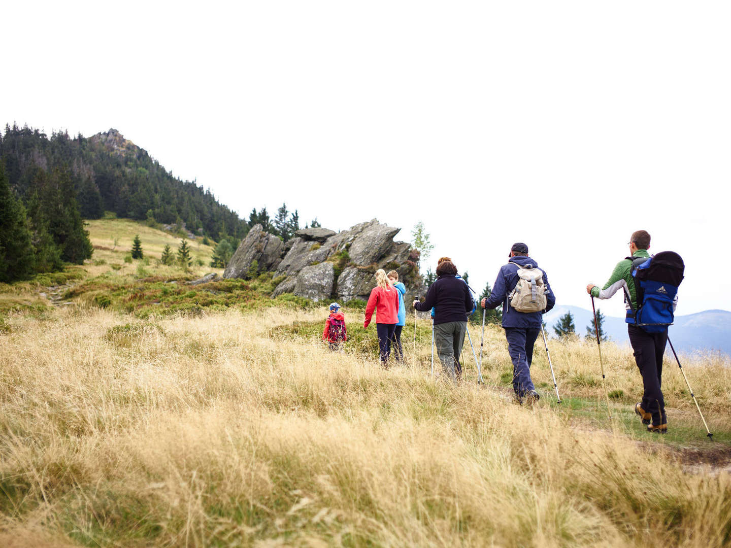 Baumwipfelpfad im Bayerischen Wald erklimmen inkl. Halbpension | 5 Tage