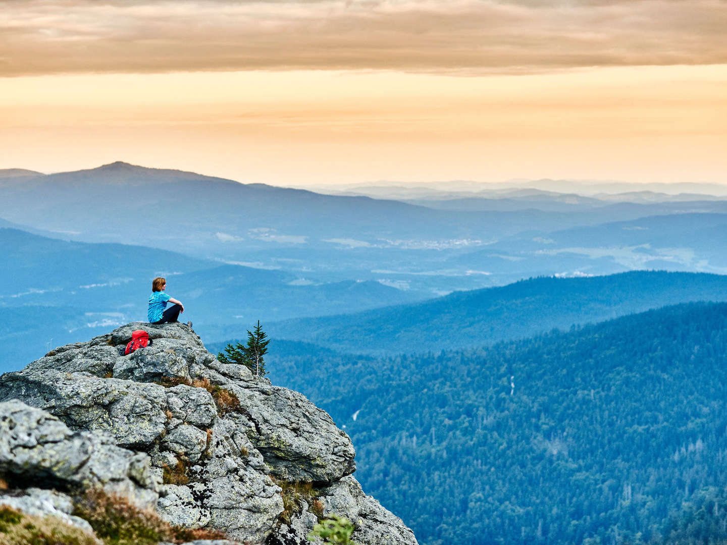 Baumwipfelpfad im Bayerischen Wald erklimmen inkl. Halbpension | 5 Tage