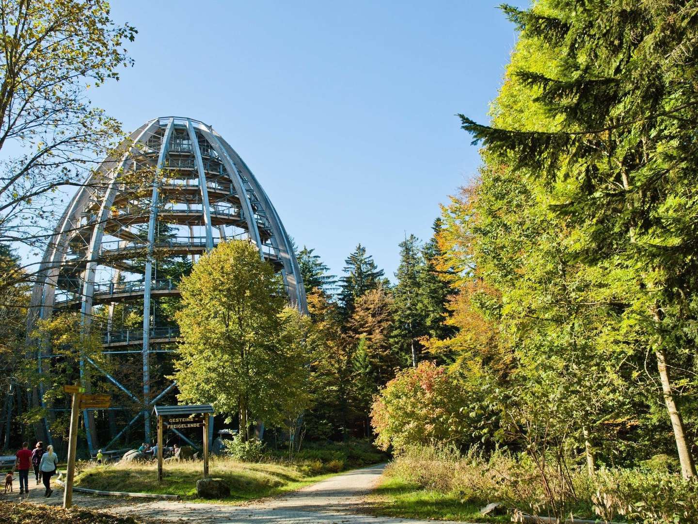 Baumwipfelpfad im Bayerischen Wald erklimmen inkl. Halbpension | 5 Tage