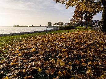 Silvester am Bodensee