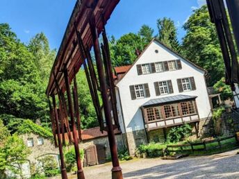 Pfötchenurlaub - 2 Tage im Teutoburger Wald inkl. 4-Gang-Dinner