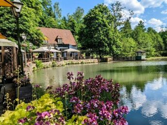 Pfötchenurlaub - 2 Tage im Teutoburger Wald inkl. 4-Gang-Dinner