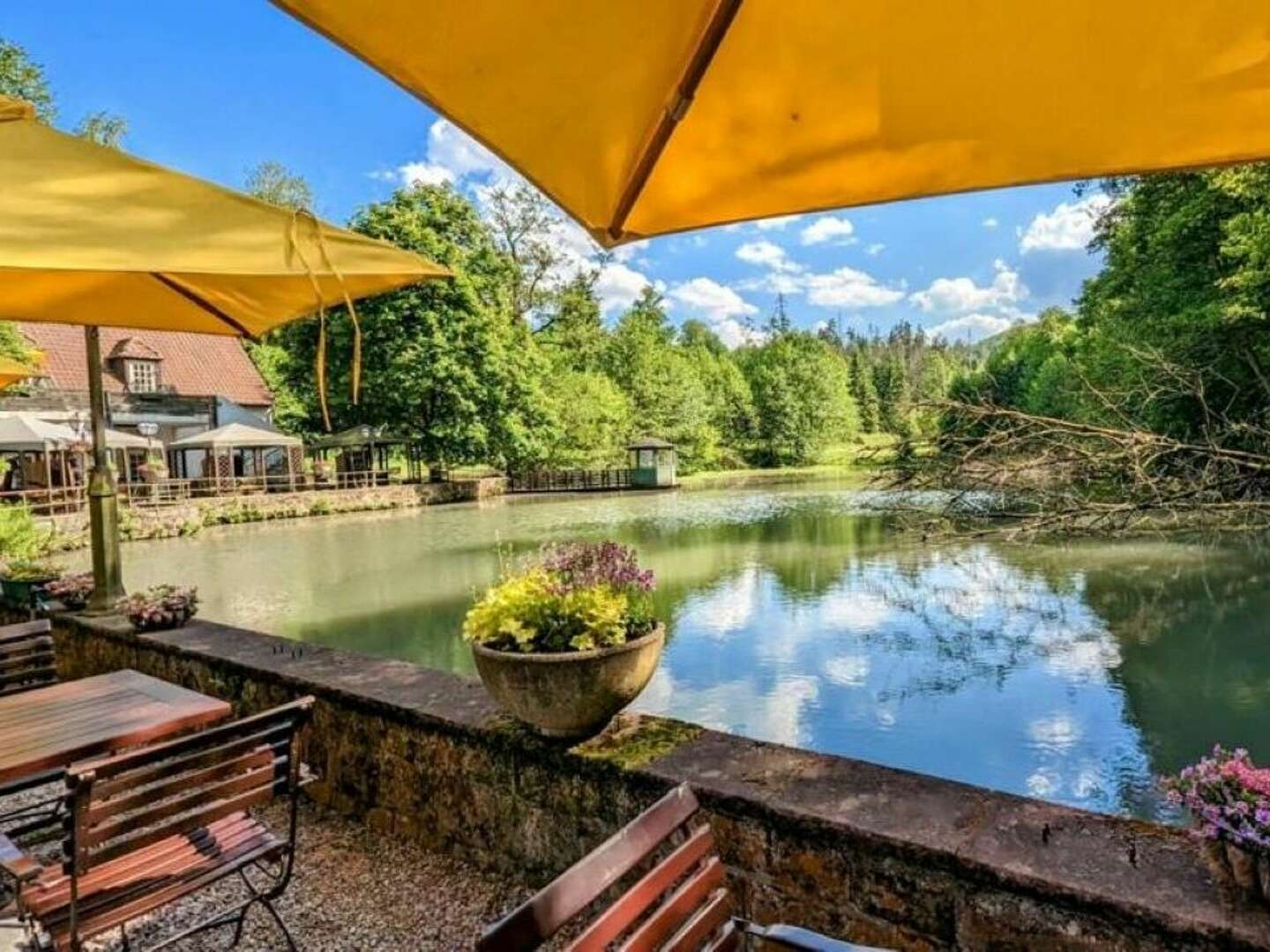 Pfötchenurlaub - 2 Tage im Teutoburger Wald inkl. 4-Gang-Dinner