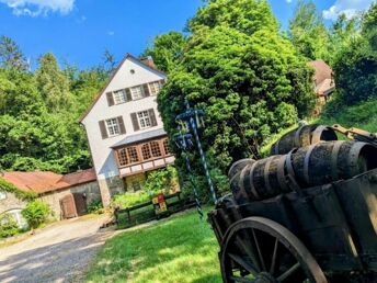 Pfötchenurlaub - 2 Tage im Teutoburger Wald inkl. 4-Gang-Dinner