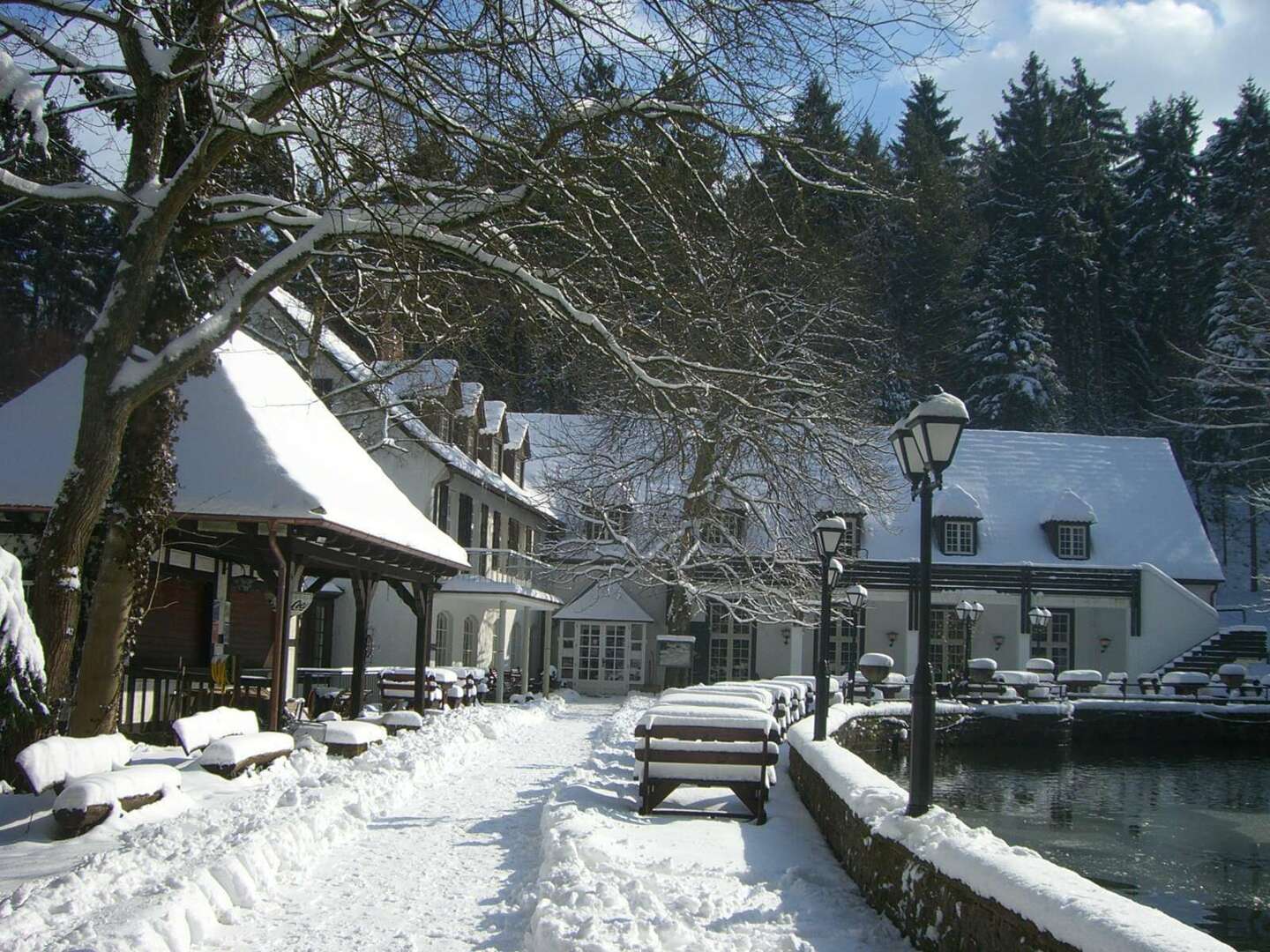 Pfötchenurlaub - 2 Tage im Teutoburger Wald inkl. 4-Gang-Dinner