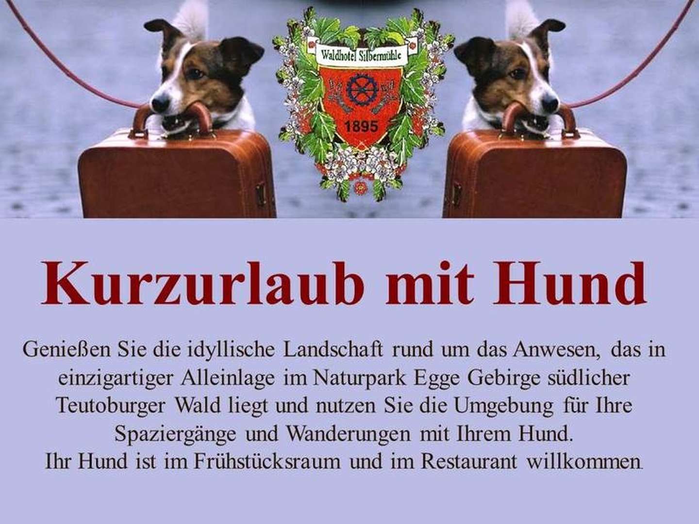 Pfötchenurlaub - 3 Tage im Silberbachtal im Teutoburger Wald